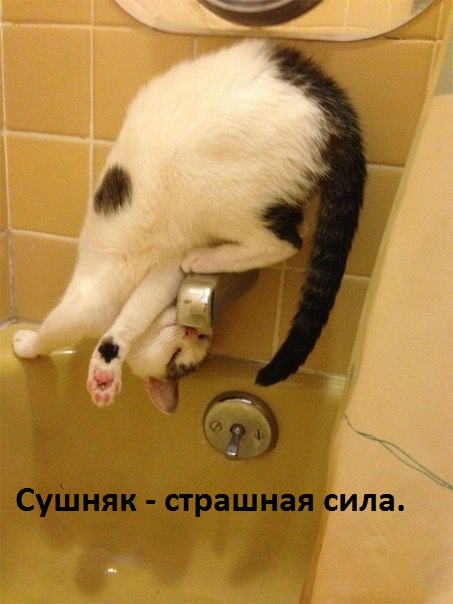 Сушняк — страшная сила.