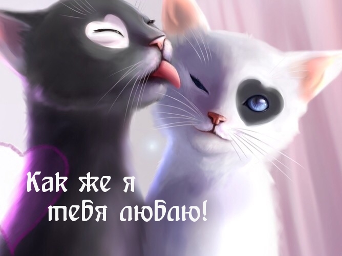Как же я тебя люблю!