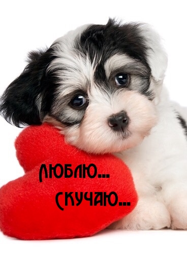 Люблю…  Скучаю…