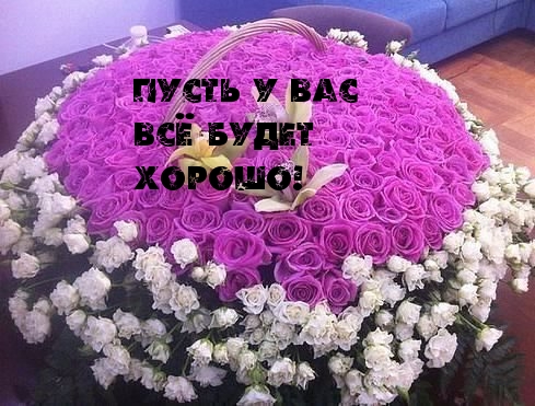 Пусть у вас всё будет хорошо!