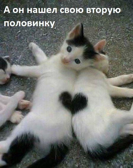 Нашли друг друга