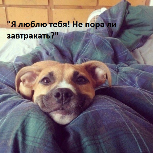 Картинки с надписями.  Пора завтракать!.