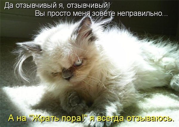 Ржачные