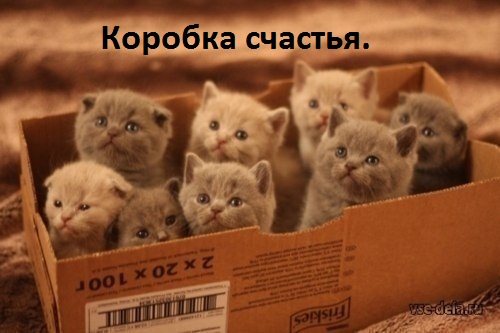 Коробка счастья.