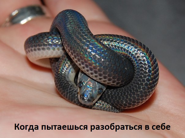 Когда пытаешься разобраться в себе