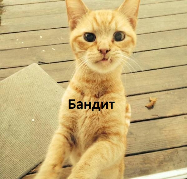 Картинки с надписями.  Бандит однозубый.