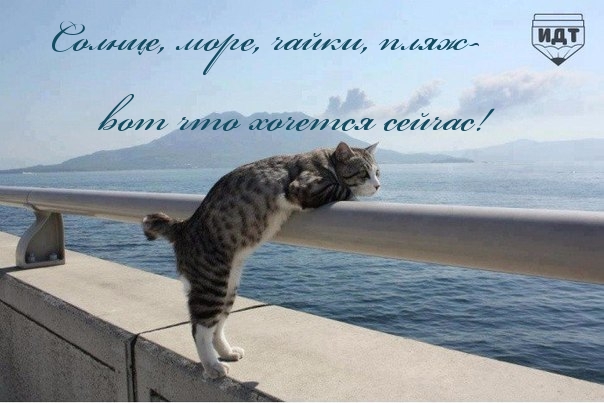 Солнце, море, чайки, пляж