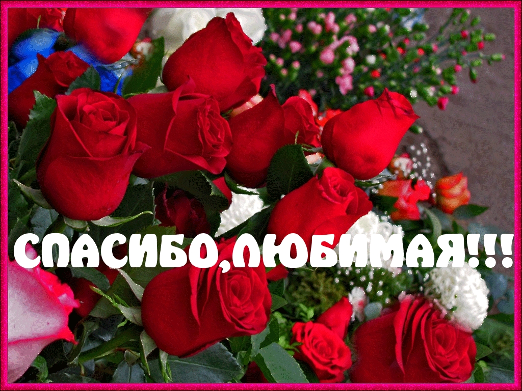 СПАСИБО,ЛЮБИМАЯ!