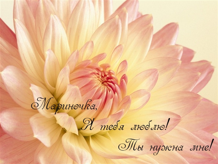 Мариночка,   Я тебя люблю!