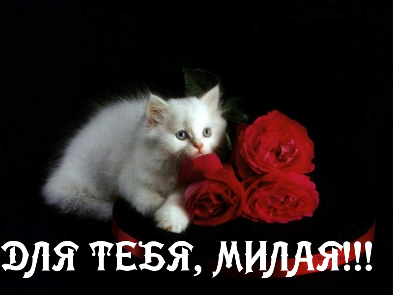 ДЛЯ ТЕБЯ, МИЛАЯ!!!