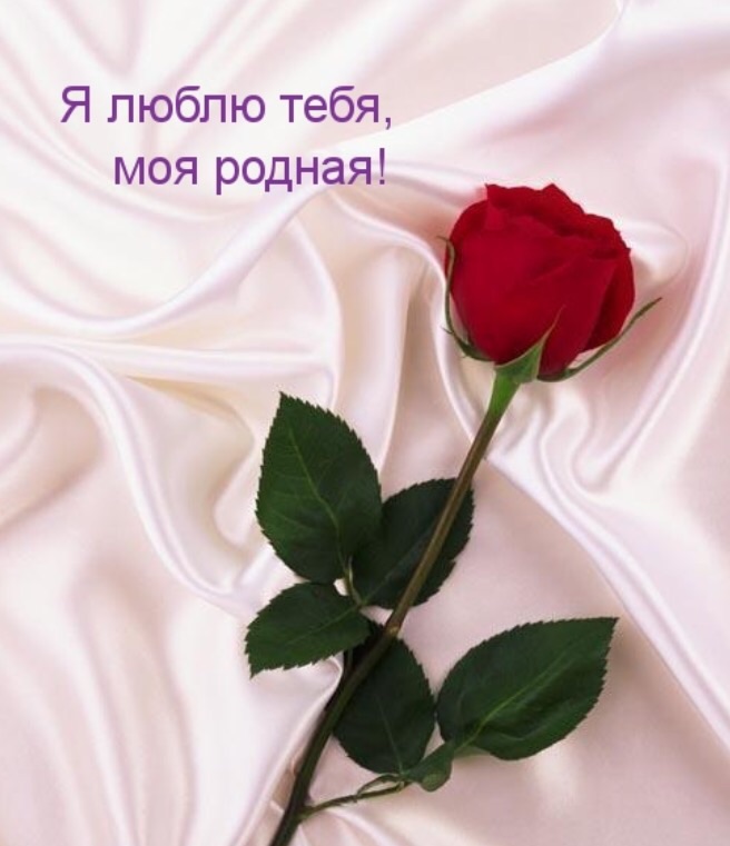 Я люблю тебя!