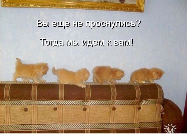 Прикольные