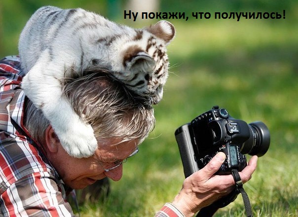 Картинки с надписями.  И мне покажи.