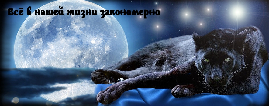 В жизни всё закономерно