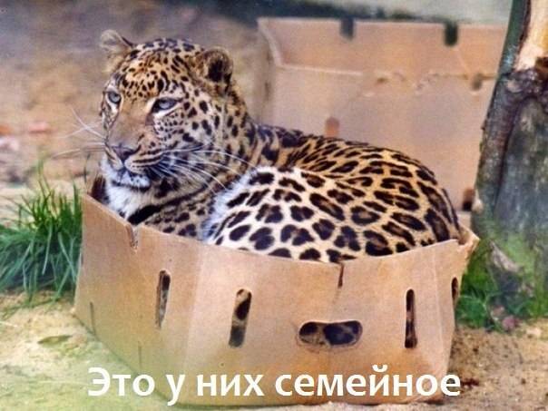 Картинки с надписями.  Потомственное.