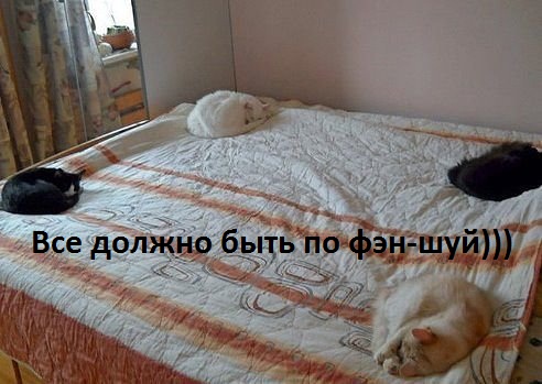 По фэн-шую