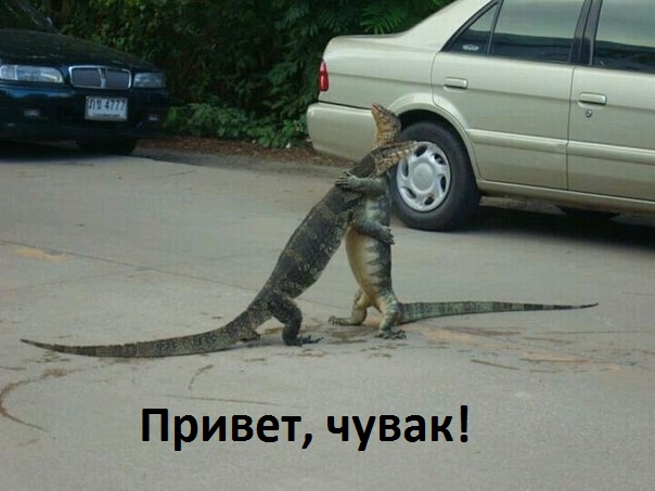 Картинки с надписями.  Привет, чувак!.