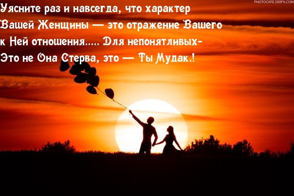 Не Она Стерва, а Ты Мудак
