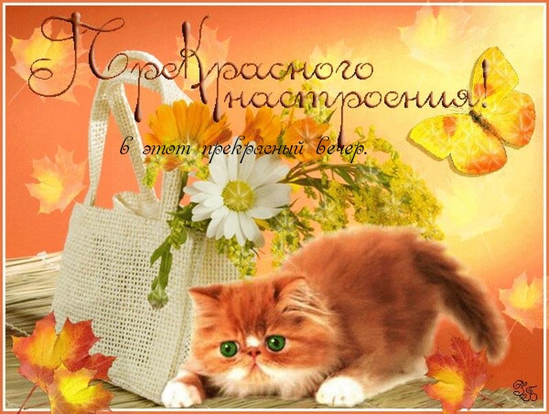 Хорошего вечера!