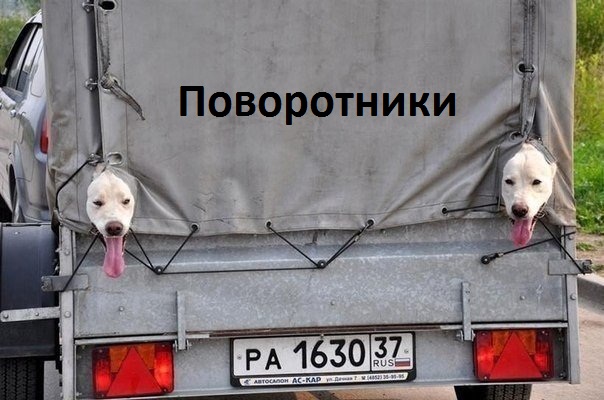 Поворотники