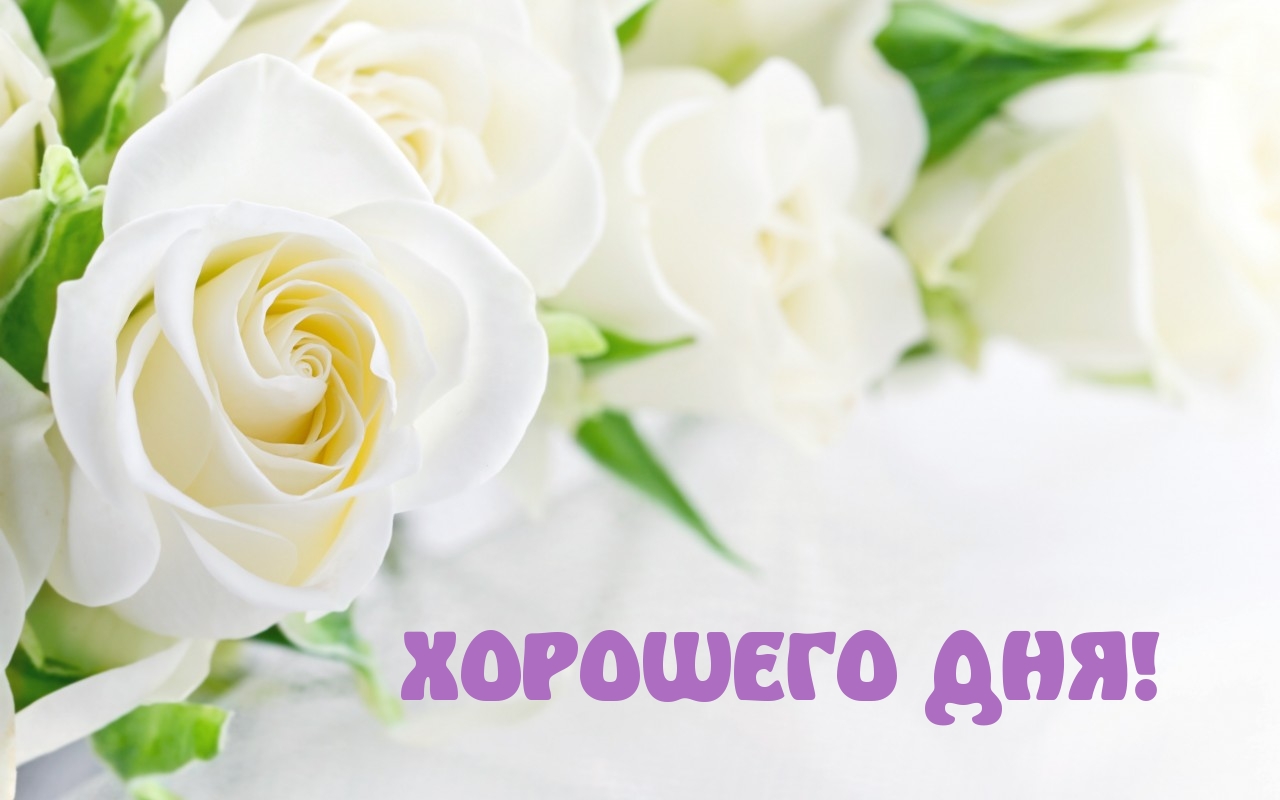 ХОРОШЕГО ДНЯ!