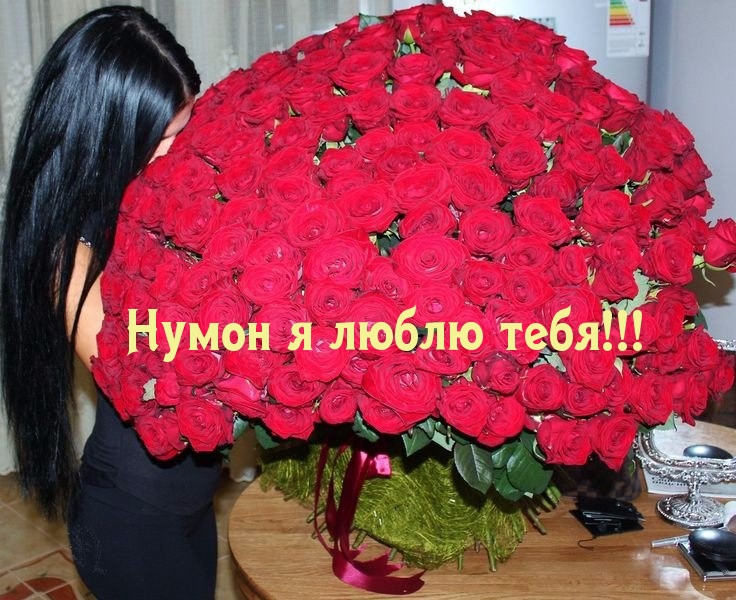 Нумон я люблю тебя!!!