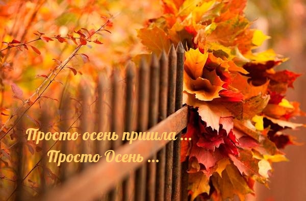 Просто осень пришла … Просто Осень …