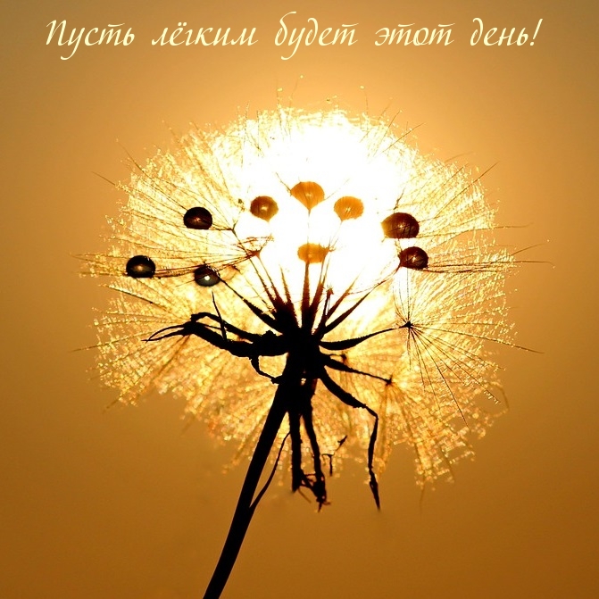 Пусть лёгким будет этот день!