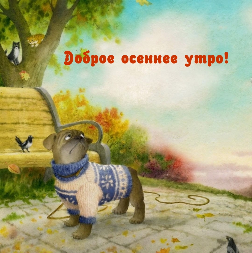 Доброе осеннее утро!