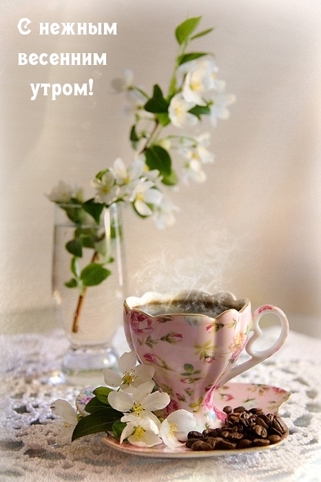 С нежным весенним утром!