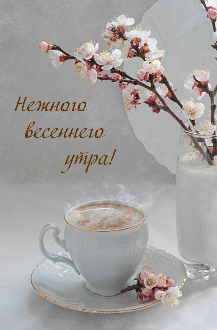 Нежного весеннего утра!