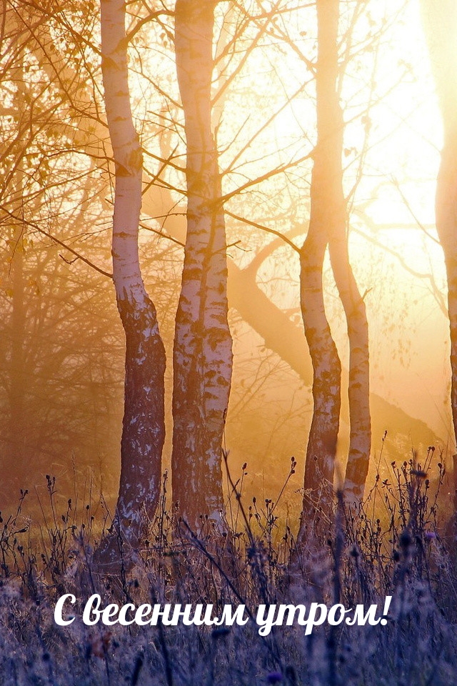 С весенним утром!