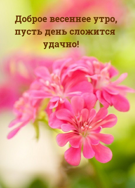 Доброе весеннее утро, пусть день сложится удачно!