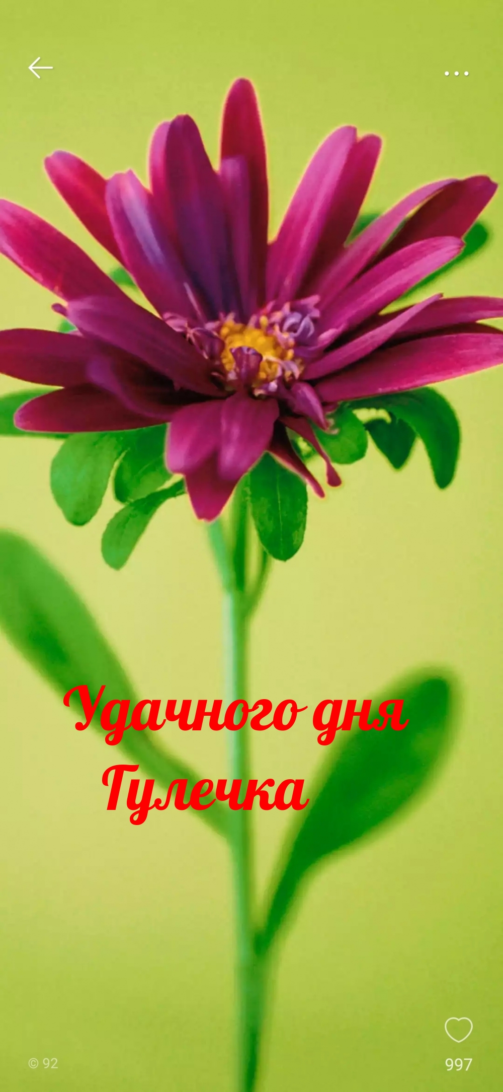 Удачного дня Гулечка