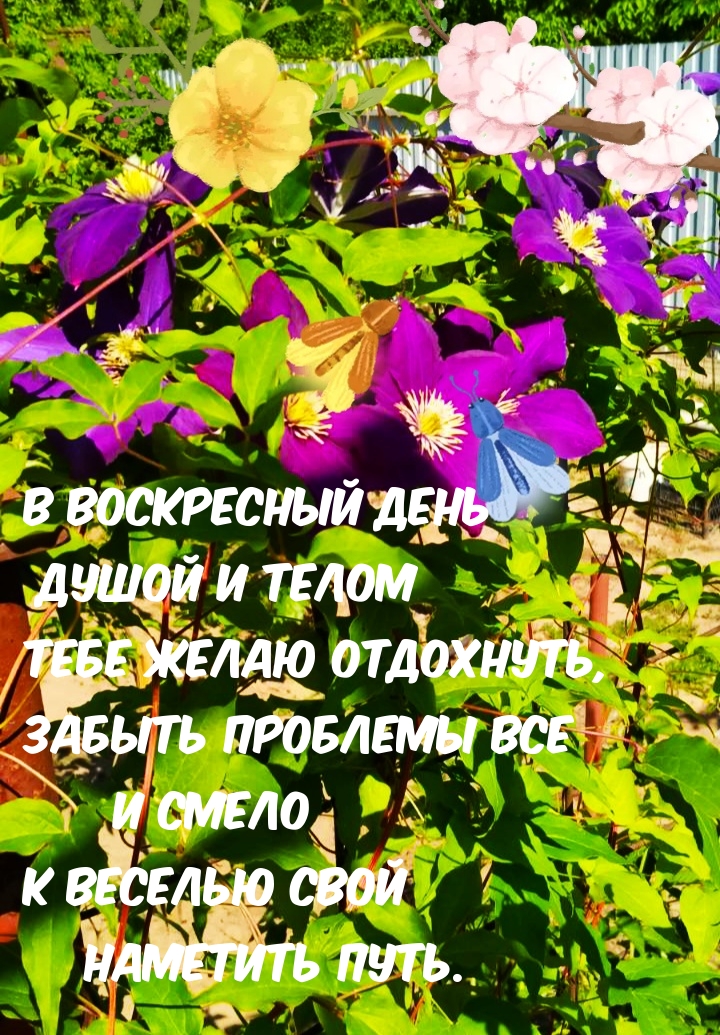 В воскресный день душой и телом Тебе желаю отдохнуть