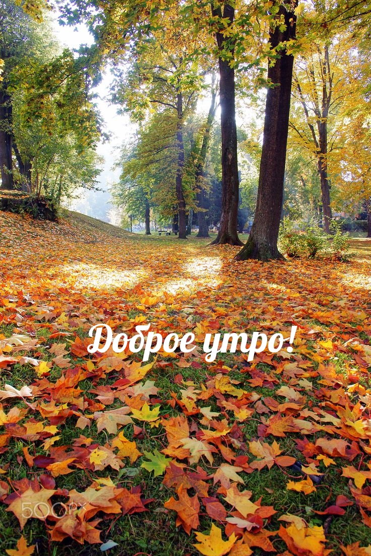 Доброе утро!