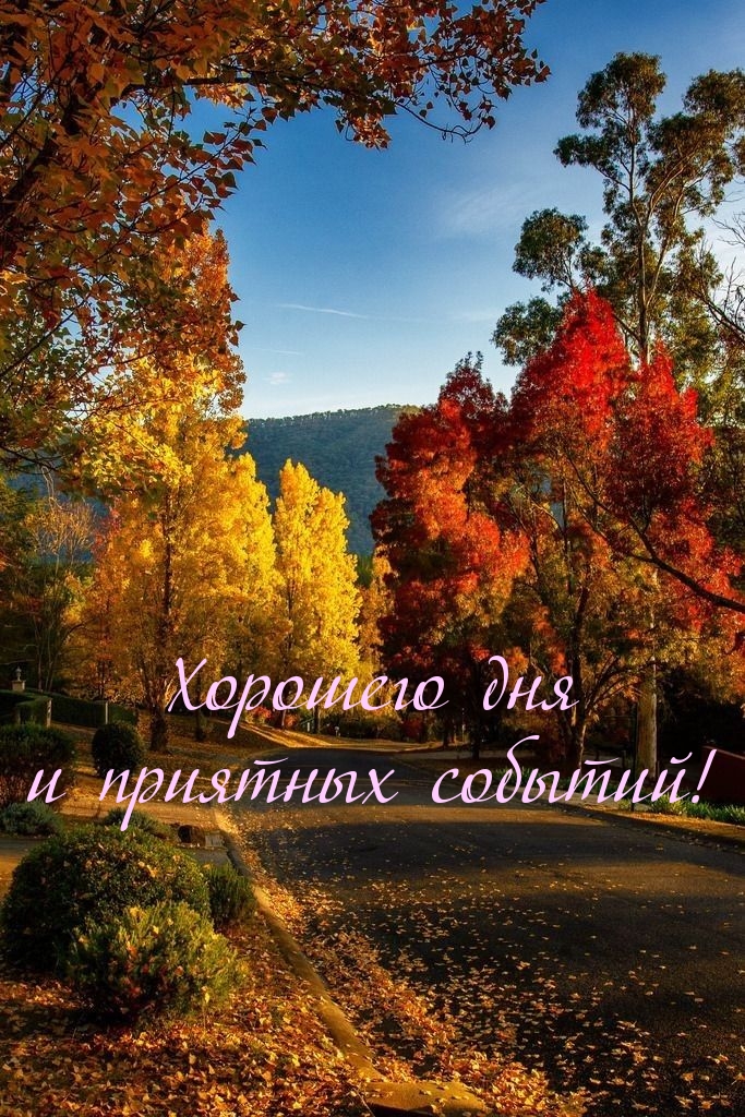 Хорошего дня и приятных событий!