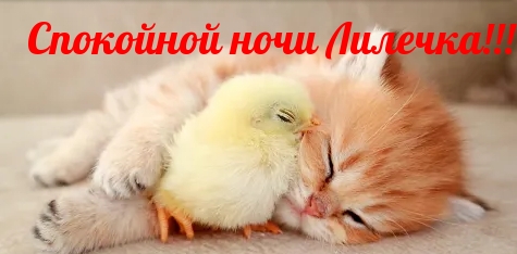 Картинки с надписями.  Спокойной ночи Лилечка!.