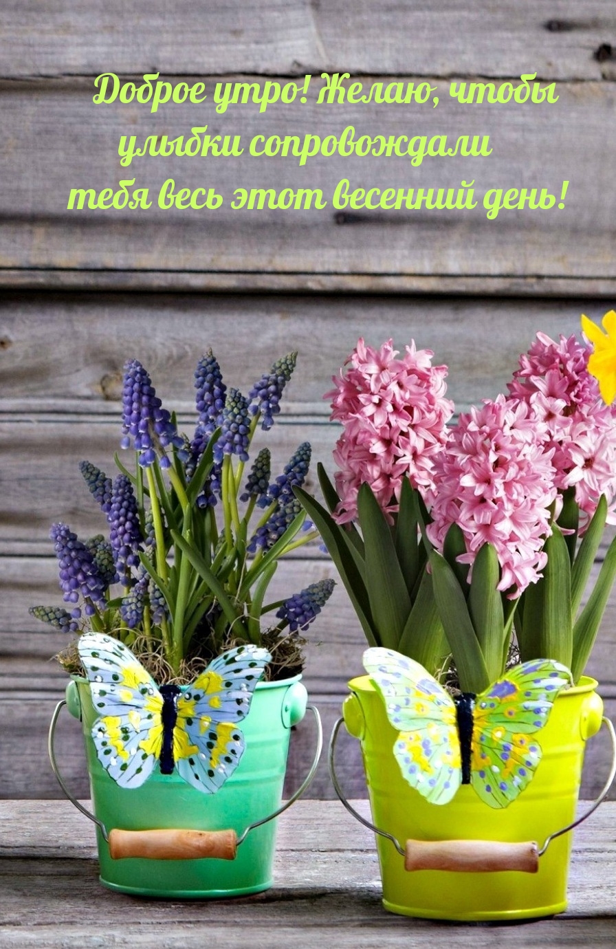 Желаю, чтобы улыбки сопровождали тебя весь этот весенний день!