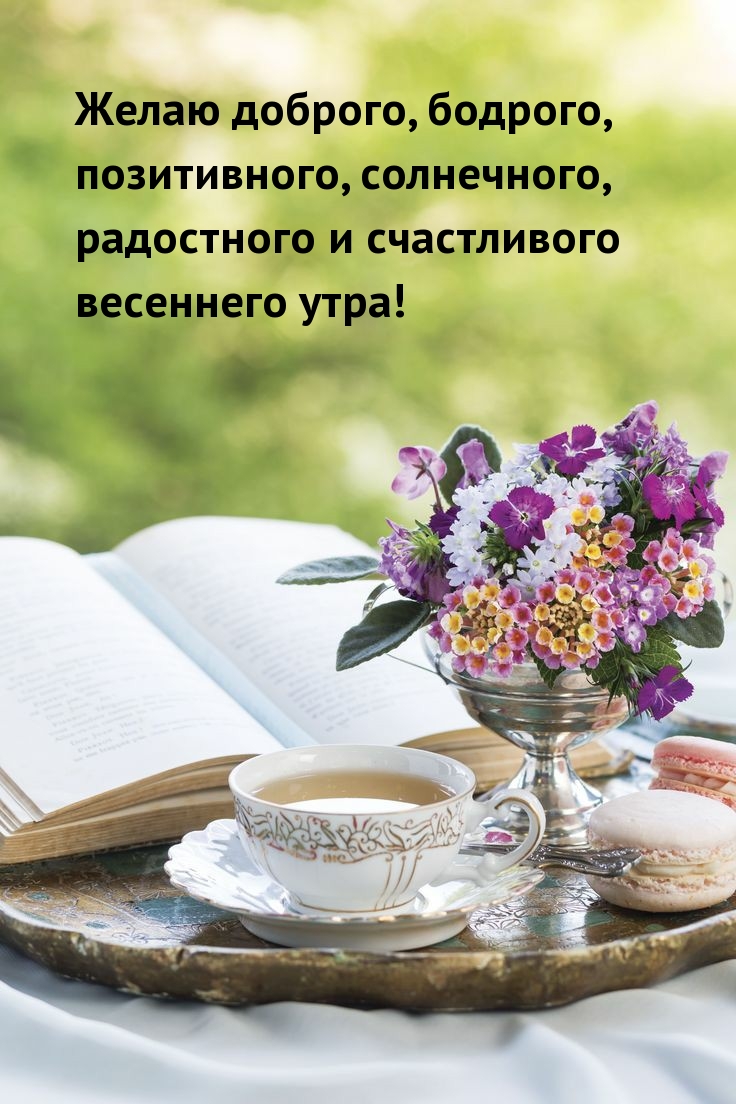 Желаю доброго, бодрого, позитивного, счастливого весеннего утра!