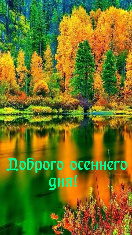 Доброго осеннего дня!