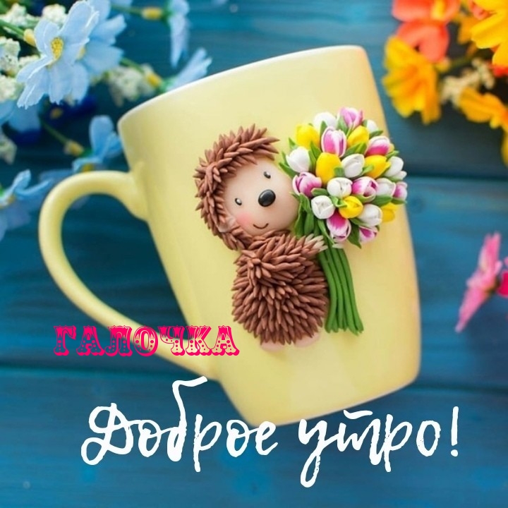 Галочка доброе утро!