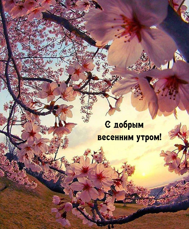 С добрым весенним утром!