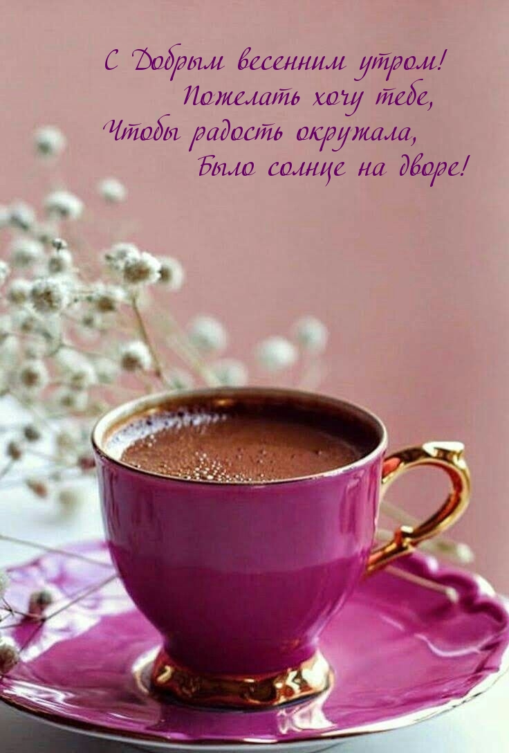С Добрым весенним утром!