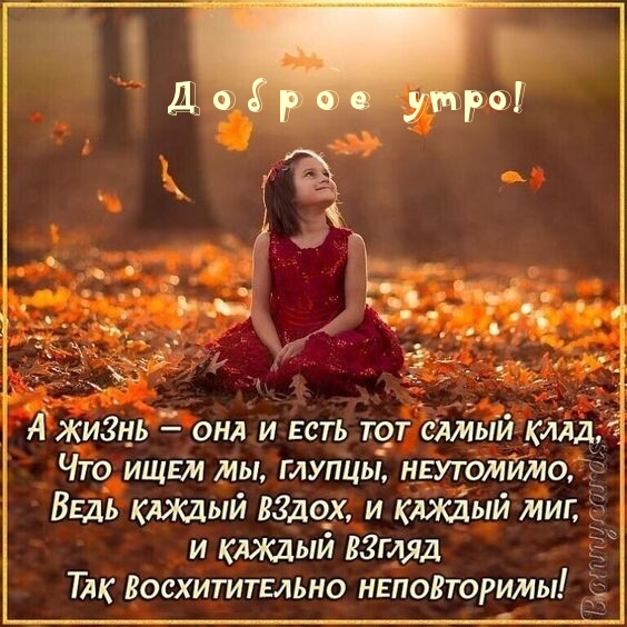 Доброе утро!