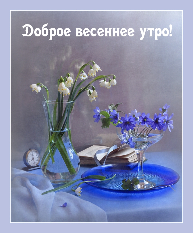 Доброе весеннее утро!