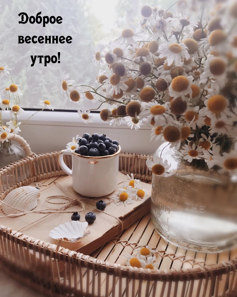 Доброе весеннее утро!
