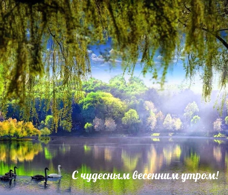 С чудесным весенним утром!