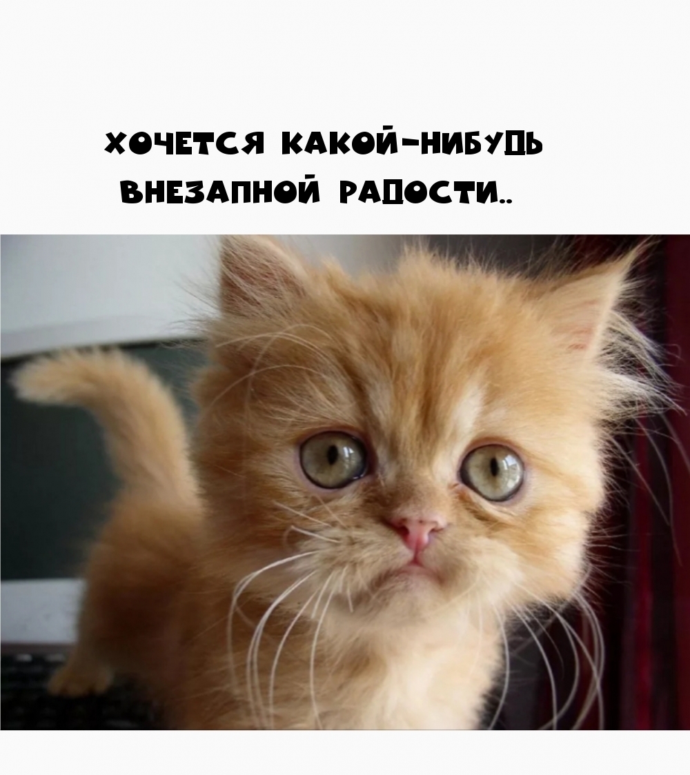 Картинки с надписями.  Хочется какой-нибудь внезапной радости...