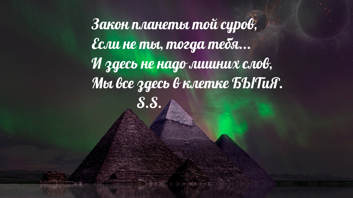 Закон планеты той суров, если не ты, тогда тебя…